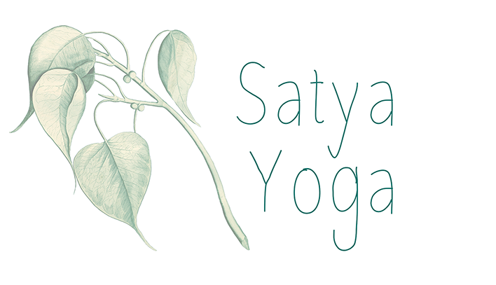 Satya Yoga | Naomi Seibert